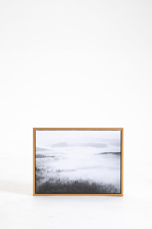 Clouds Organic Shapes Canvas Wall Art