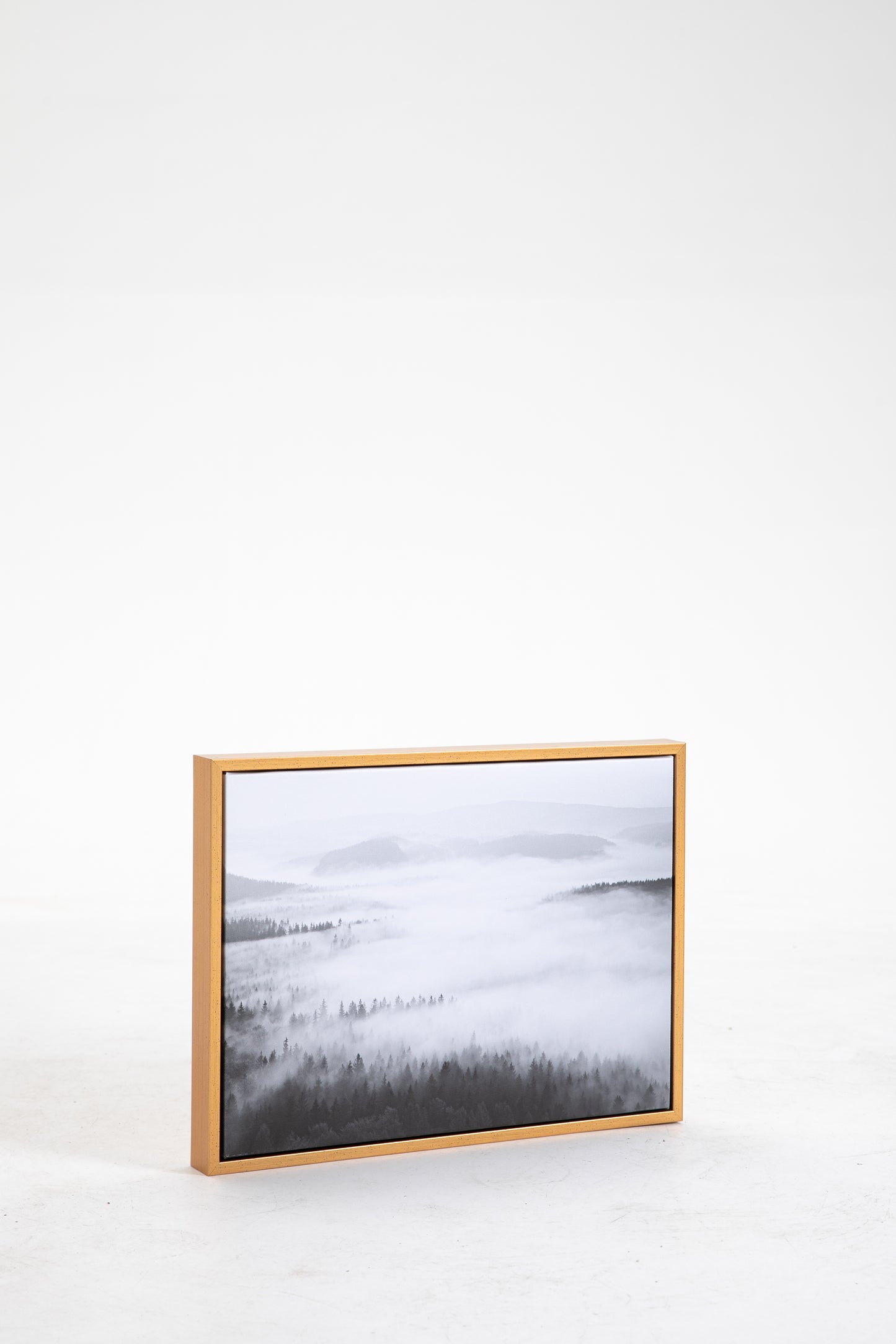 Clouds Organic Shapes Canvas Wall Art