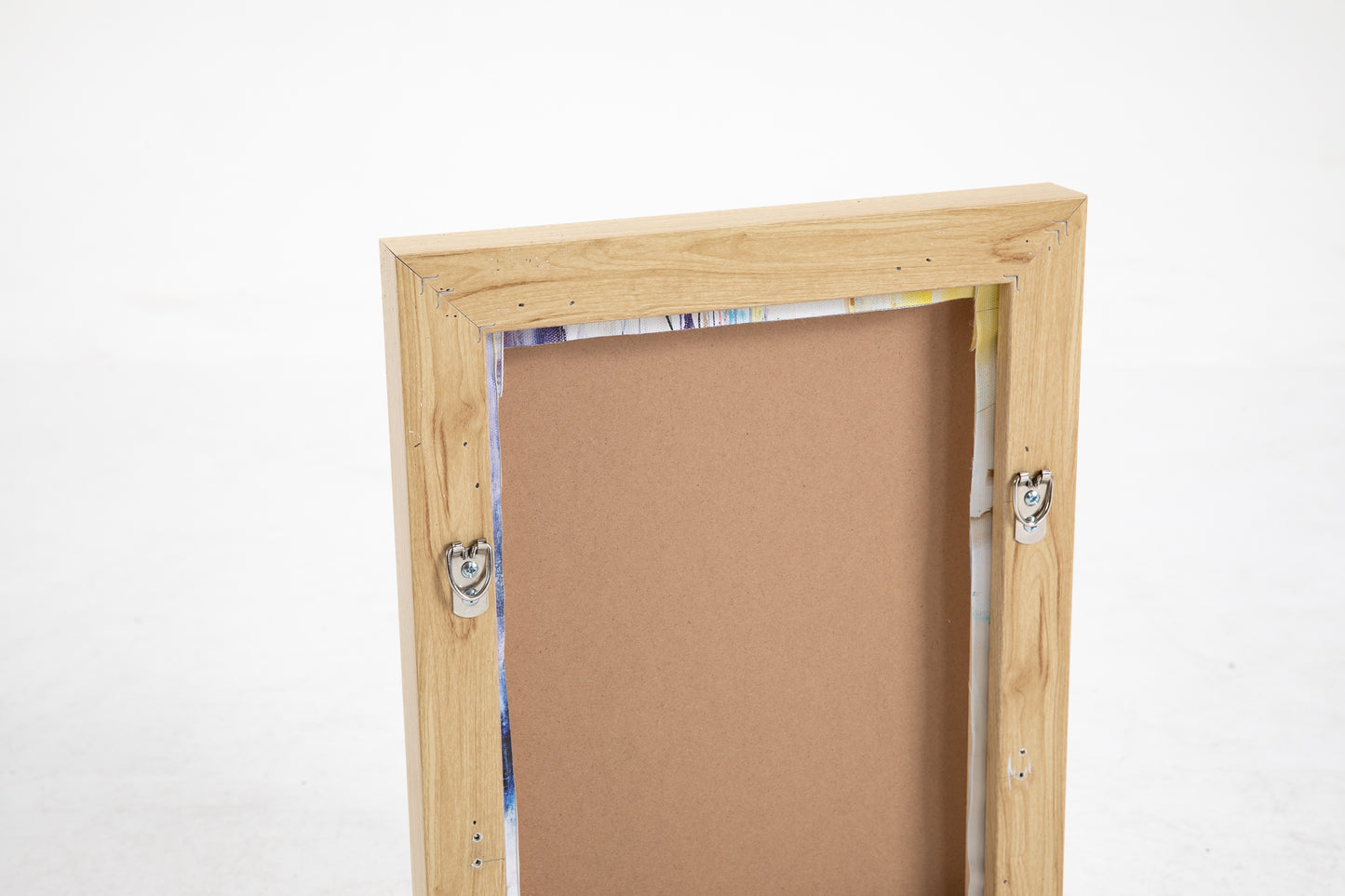 Organic Shapes Canvas Wall Art