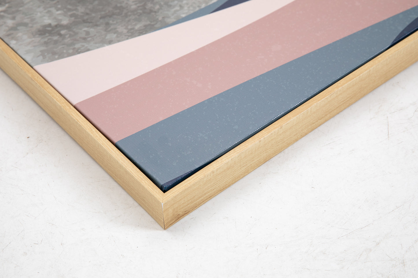 Organic Shapes Canvas Wall Art